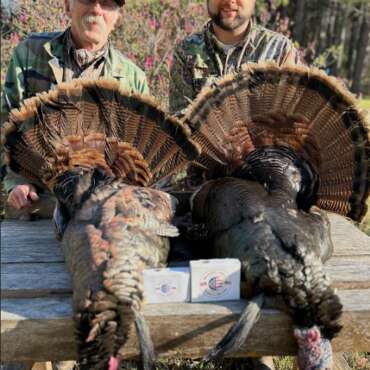 Turkey Hunting: Tips and Techniques